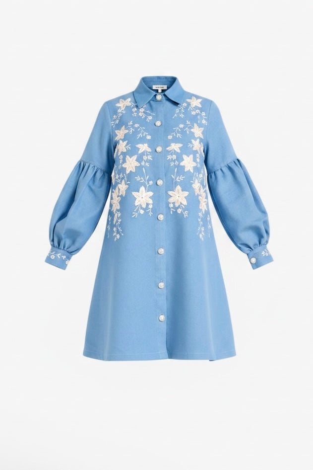 Valentina Denim Dress