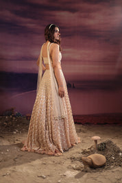 Peach Lehenga Set