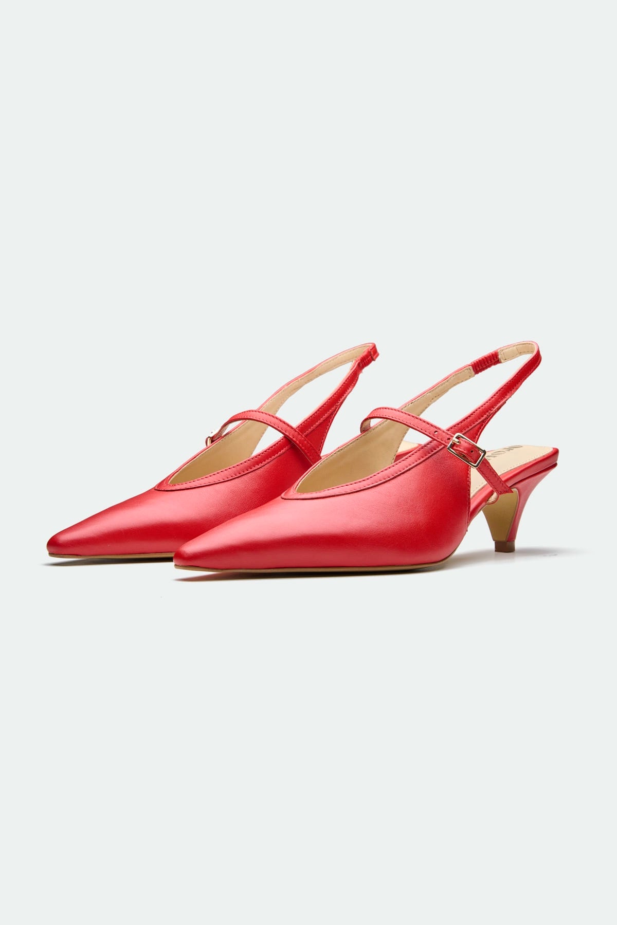 Blackpool Red