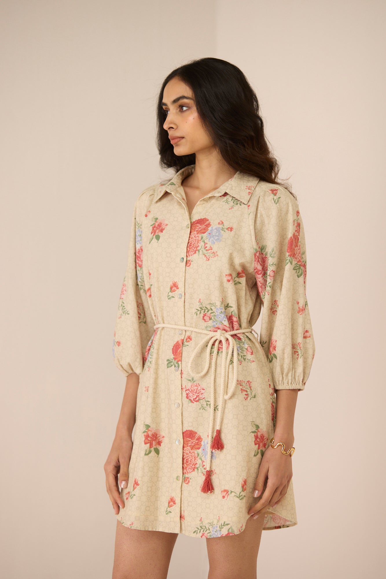 Sasha Dress