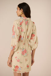 Sasha Dress
