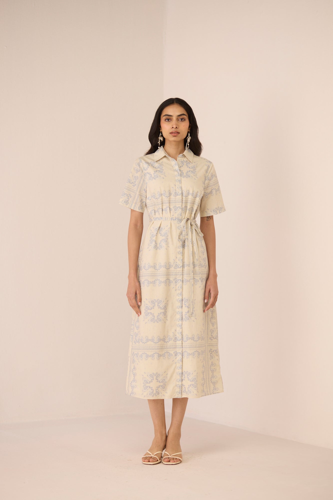 Aster Shirt Dress