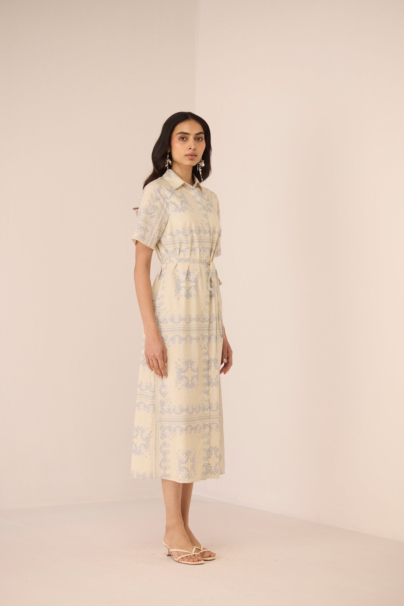 Aster Shirt Dress