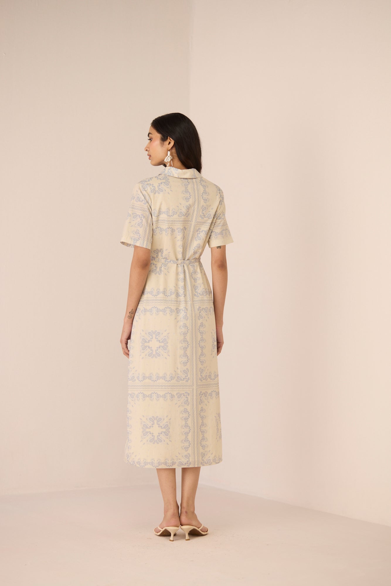Aster Shirt Dress