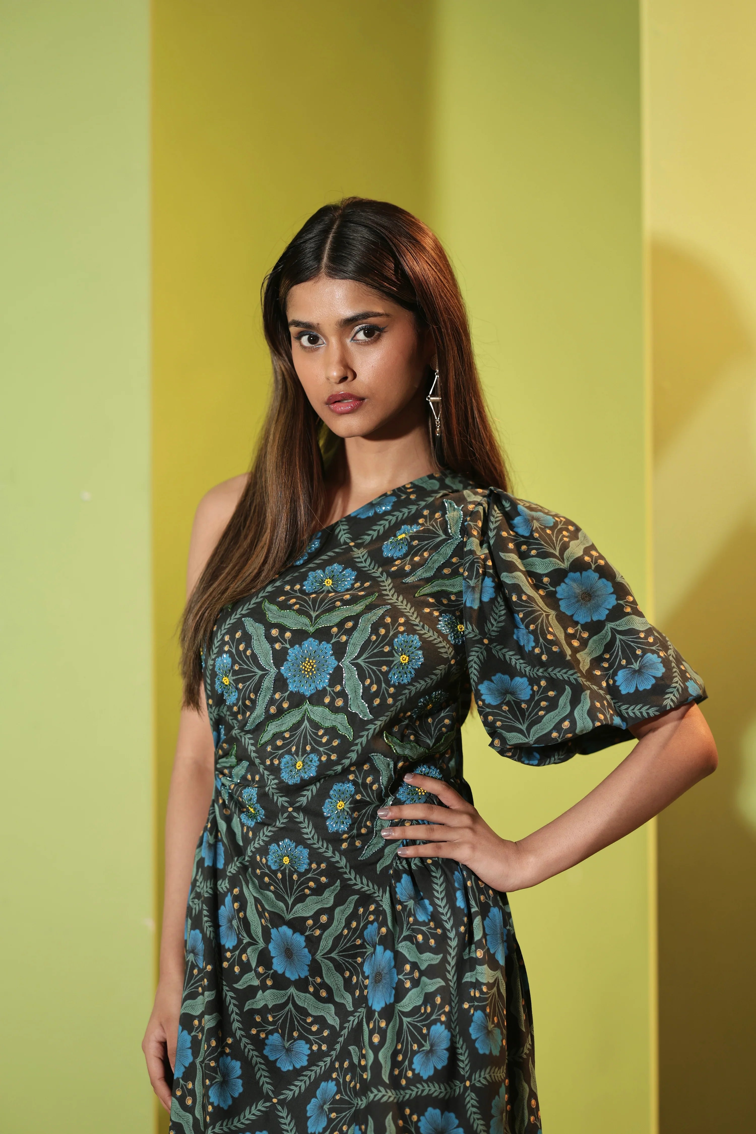 Nocturnal Embroidered Midi Dress