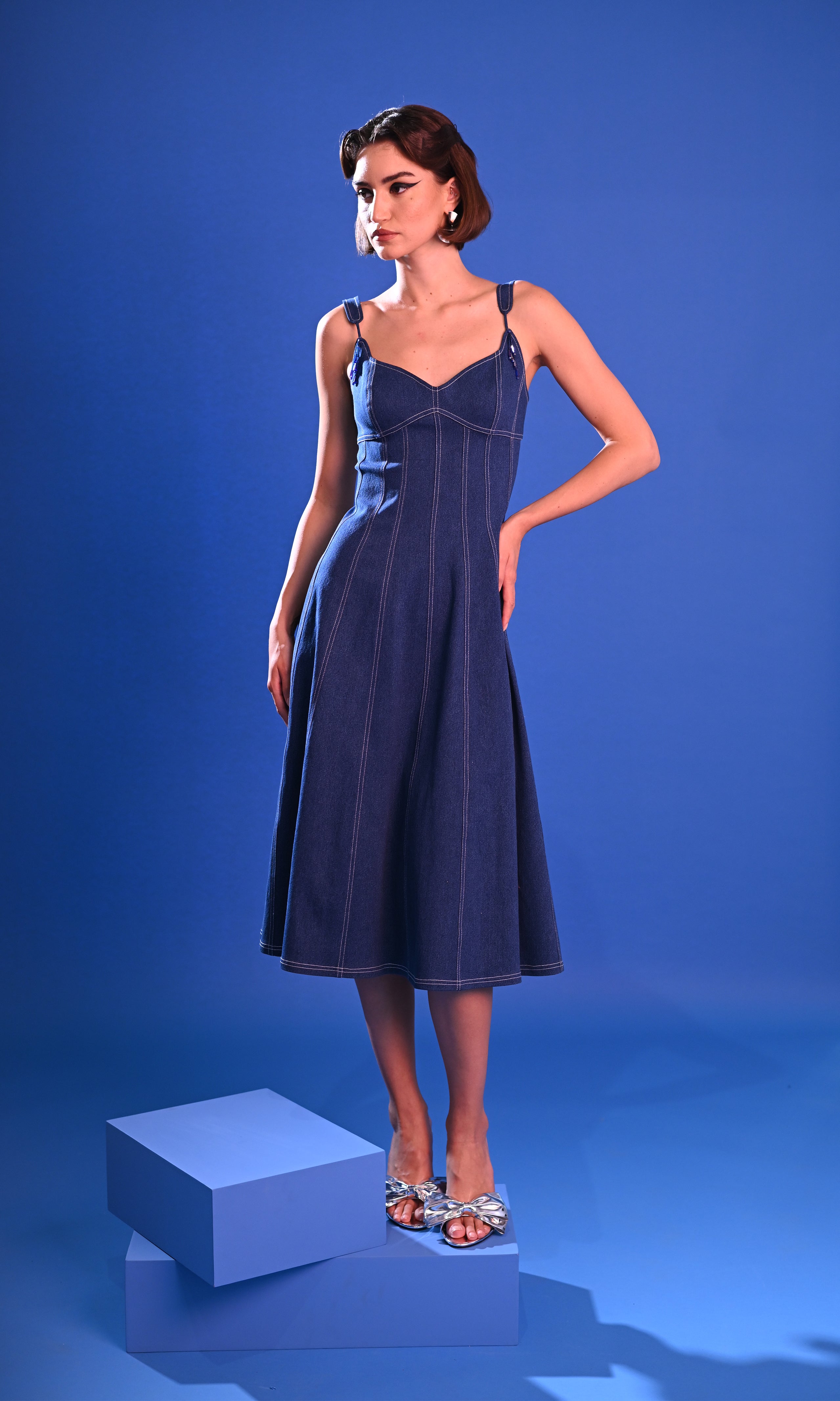Vericale Denim Dress