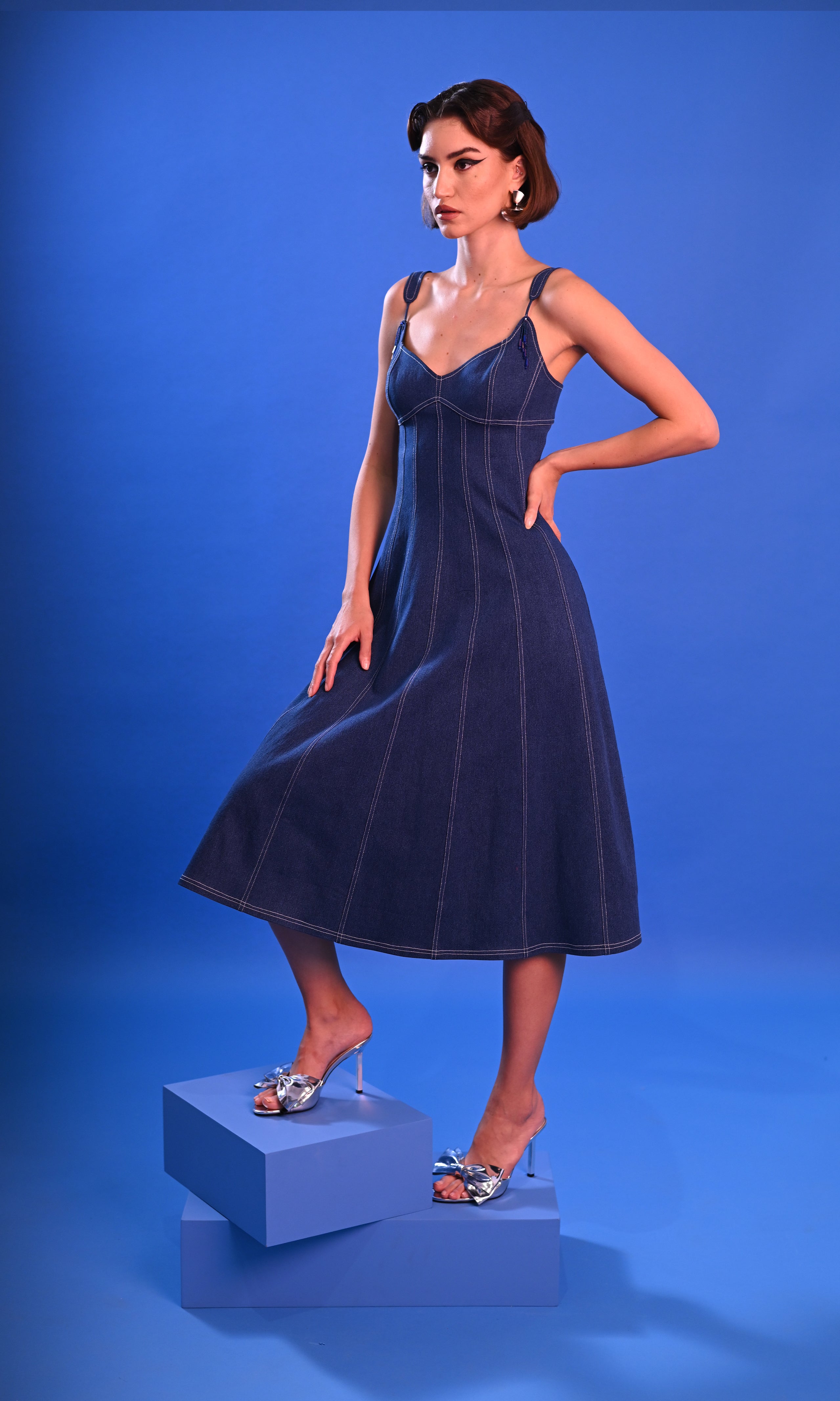 Vericale Denim Dress