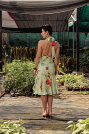 Cirelle Dress