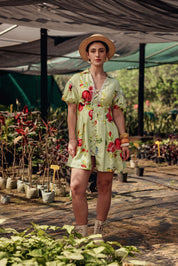 Isola Dress