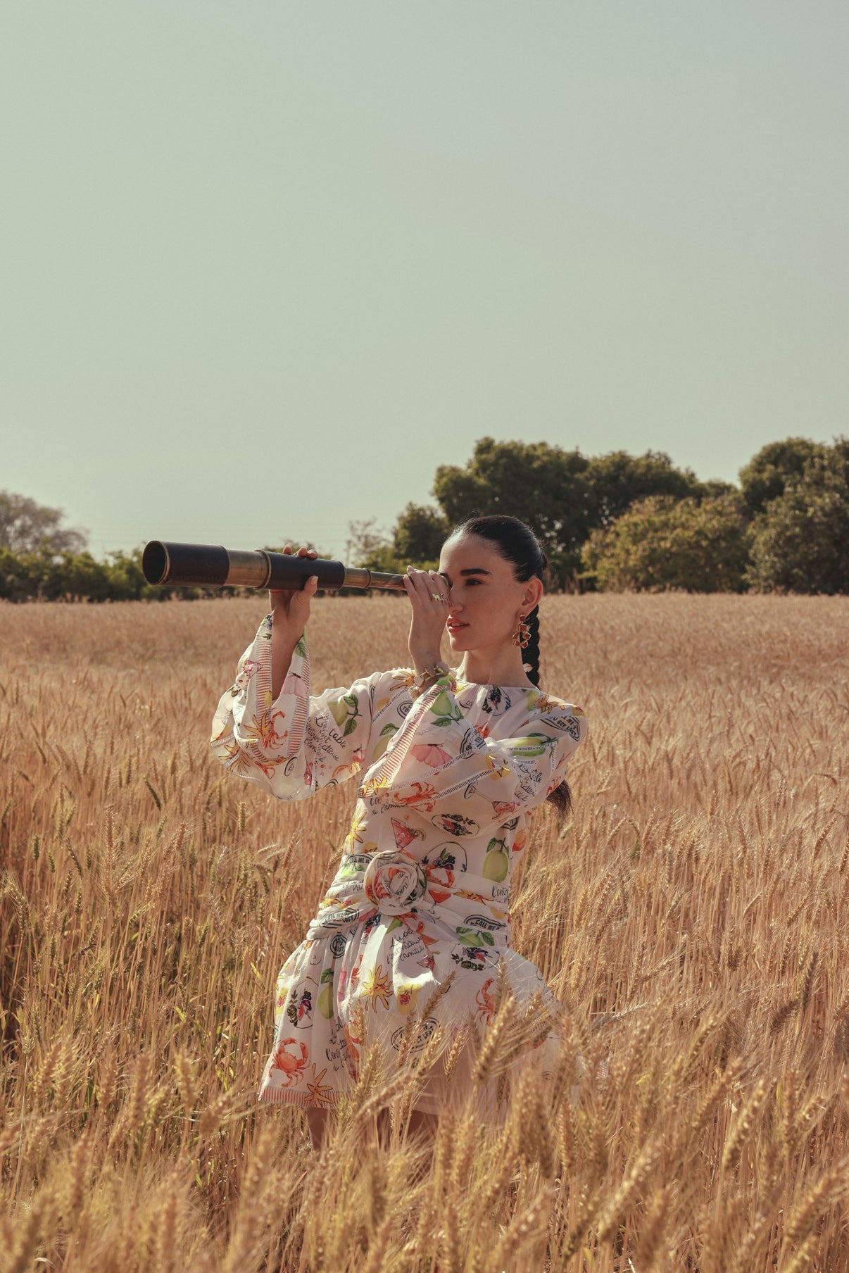 Zayara Dress