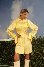 Katie Shirt Dress