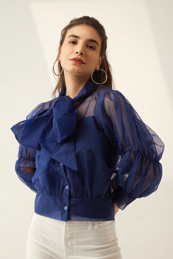 Blue Organza Sheer Top