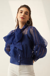 Blue Organza Sheer Top