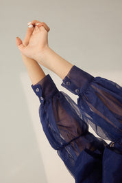 Blue Organza Sheer Top