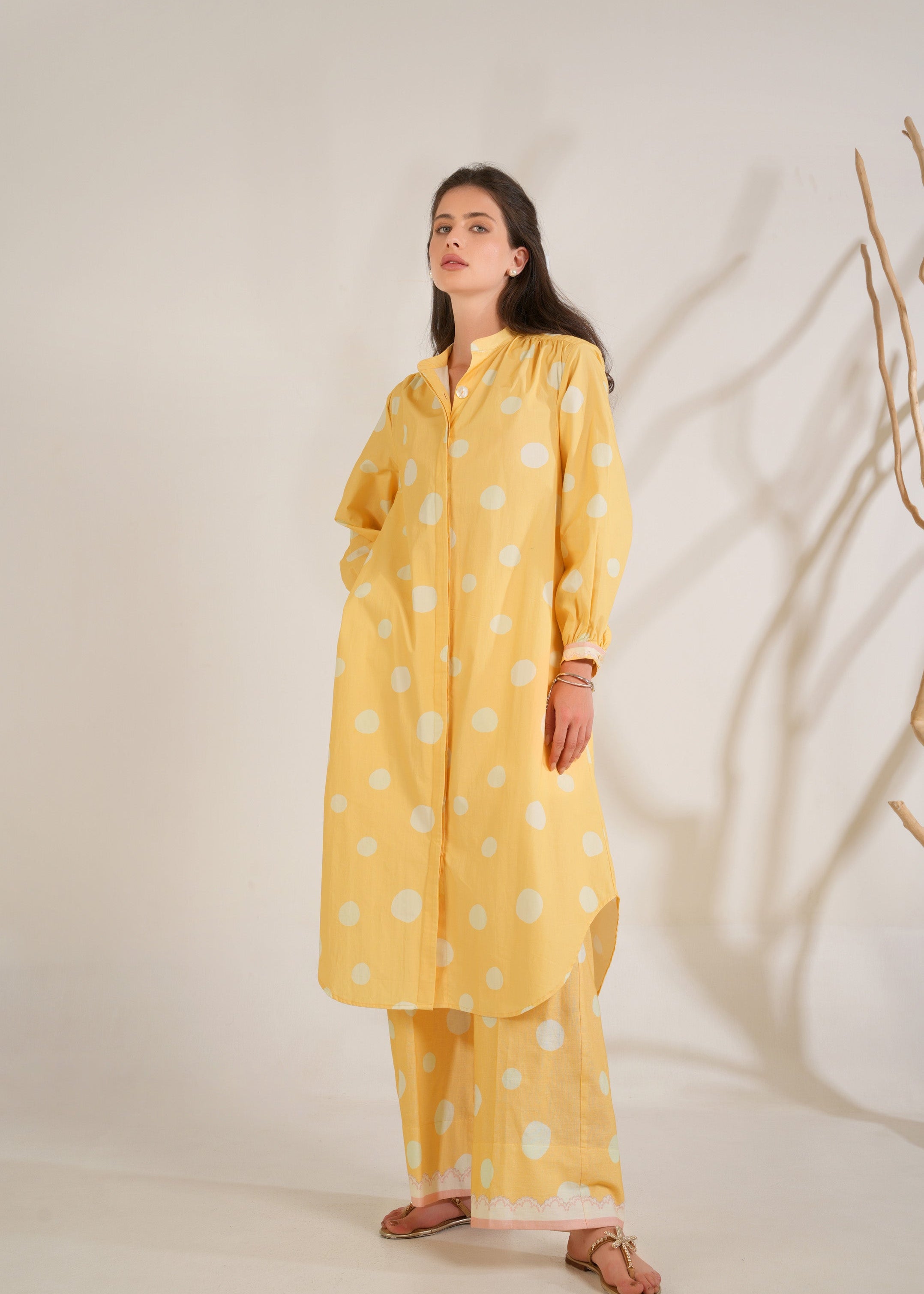 DSC01120.jpg