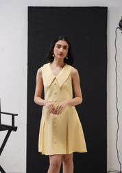 Eva Mini Dress With Embellished Flowers Butter Yellow