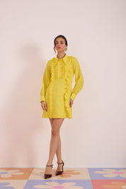 Lemon Love Shirt Dress