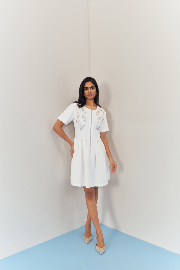 Moonlit Embroidered Dress With Sleeves