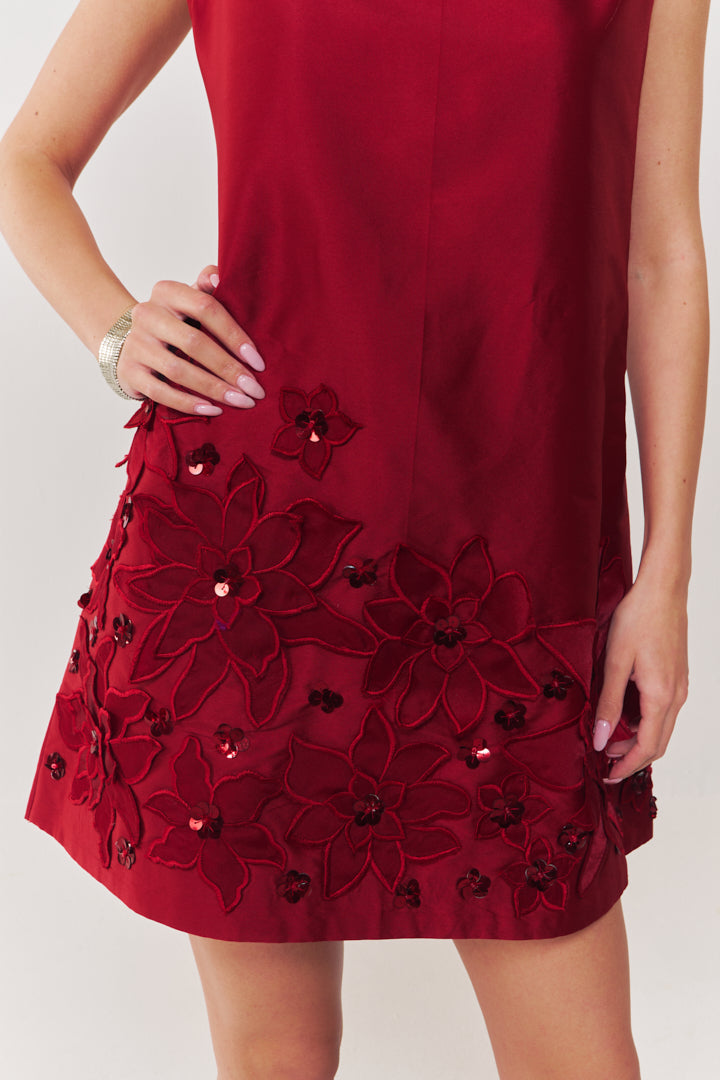 Valentina Embroidered A line Dress