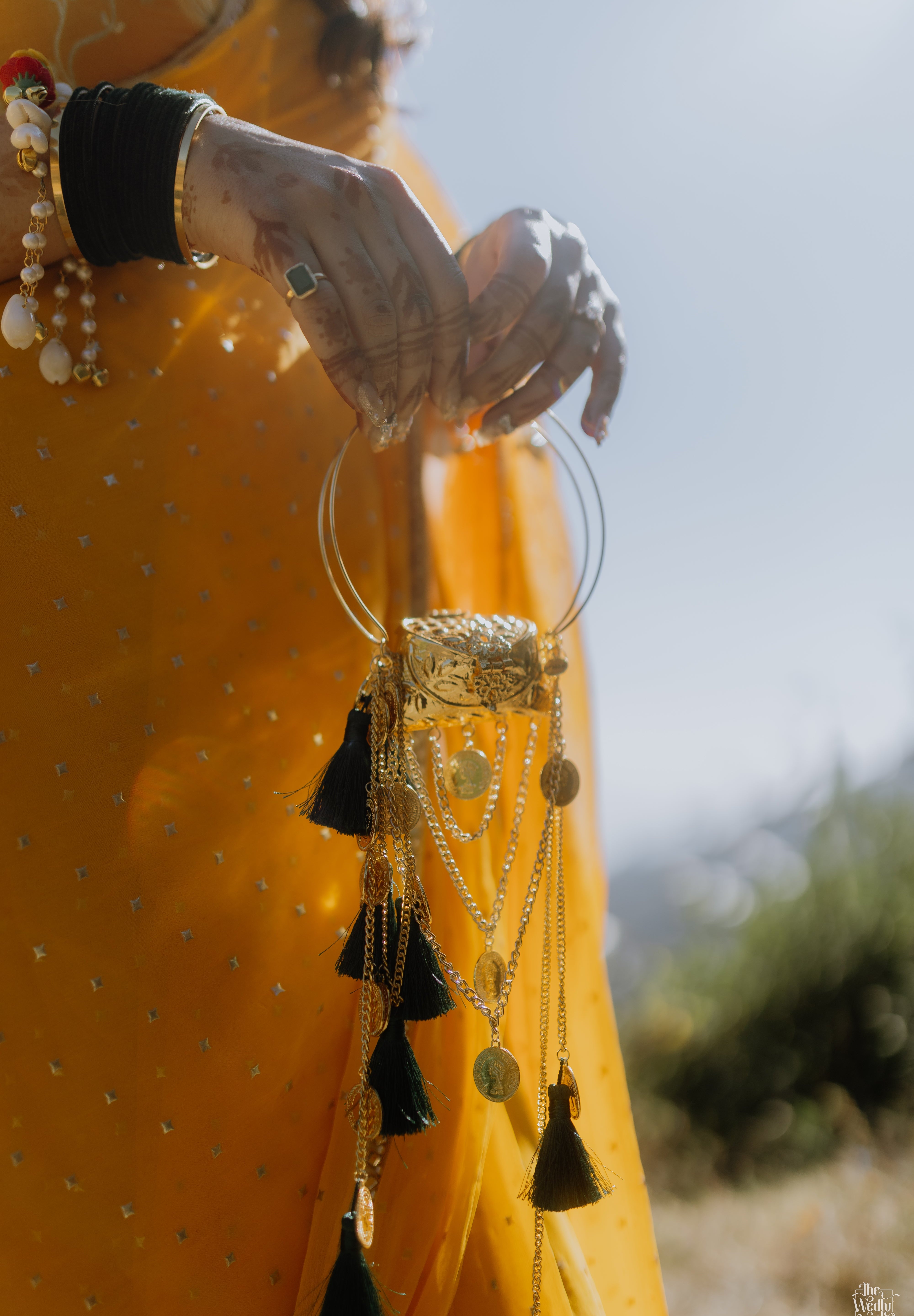 Haldi Special Nano Bag