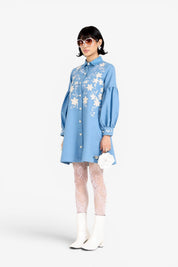 Valentina Denim Dress