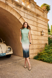 Eveline Pleated Midi Dress