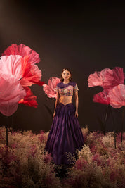 Sapno ki Rani Purple