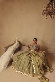 Dream Lehenga Set