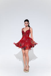 Scarlet Doll Dress