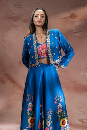 Baghira Embroidered Lehenga Set