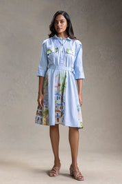 Reviera Printed Paneled Flared Dress