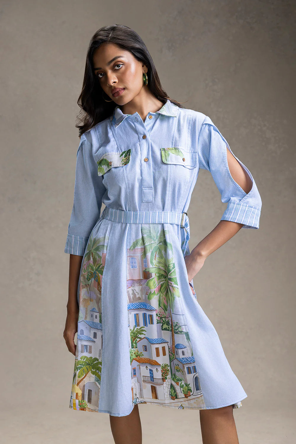 Reviera Printed Paneled Flared Dress