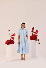 Powder Blue Puff Sleeve a Line Dress