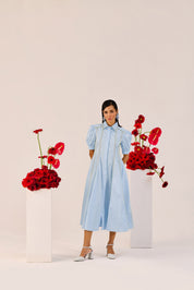 Powder Blue Puff Sleeve a Line Dress
