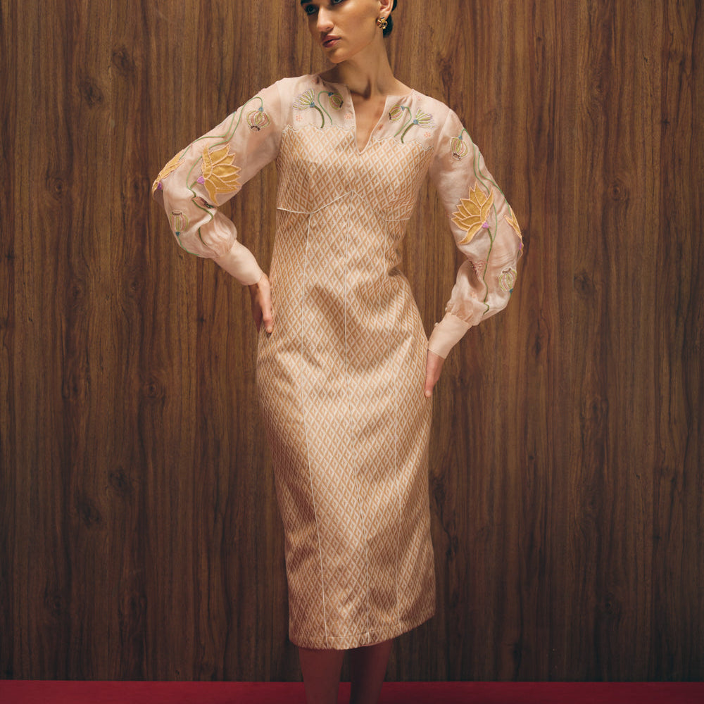 Vintage Rosé dress image 1