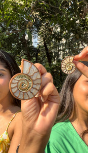 C-Shell Dollops