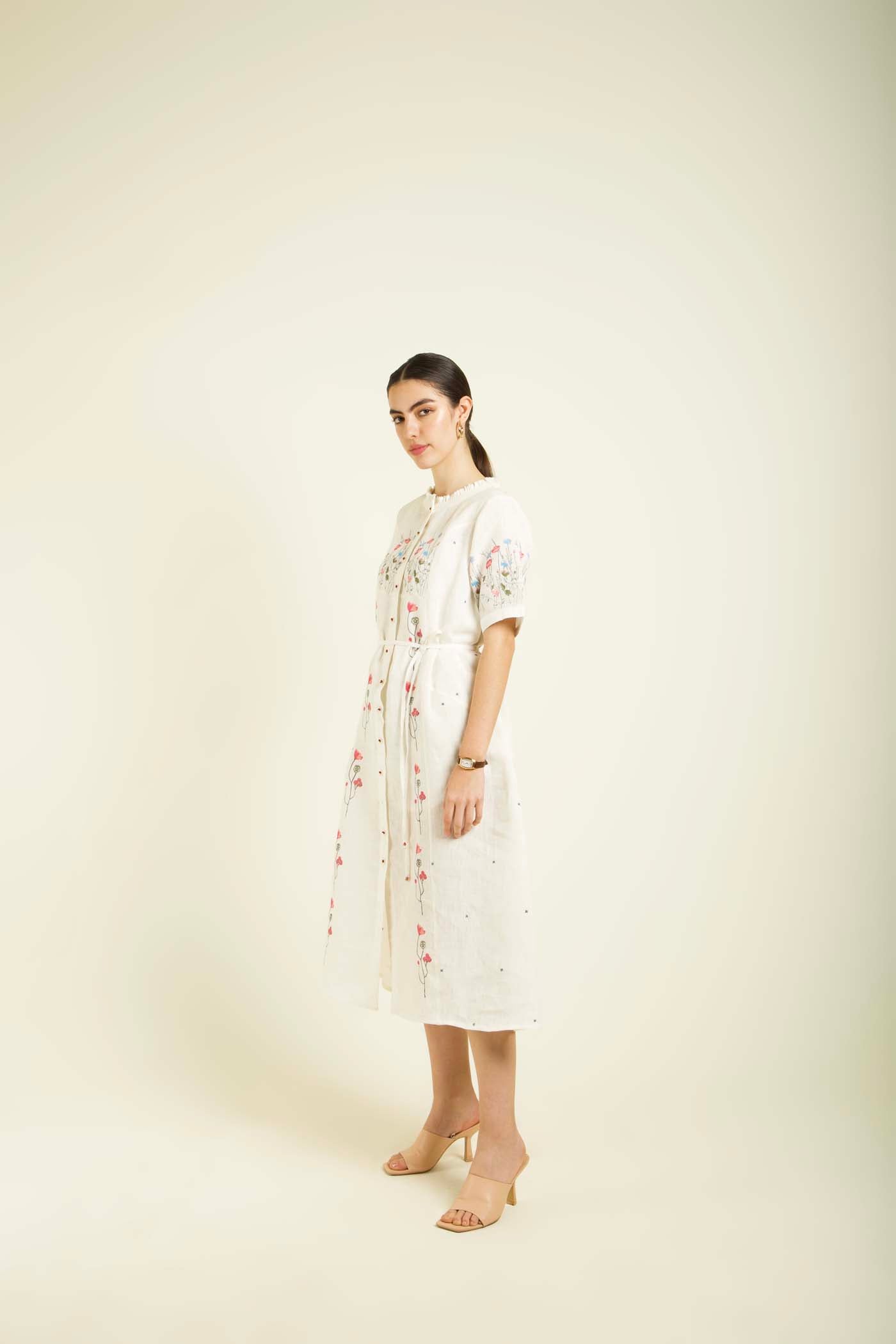 Ivory Printed A Line Dress