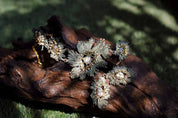 Saumitra Choker